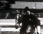 National HorseShow ASPCA MacClay 1977