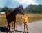 William Age: 6  Noke 16.3 hands  1968