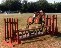 Final Descision (SPRING) OX RIdge Hunt Club 1976